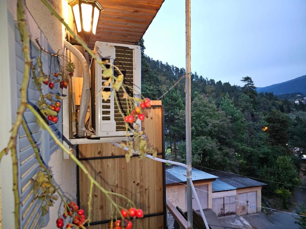 Guest House Likani 2017 Bordžomi Pokoj fotografie