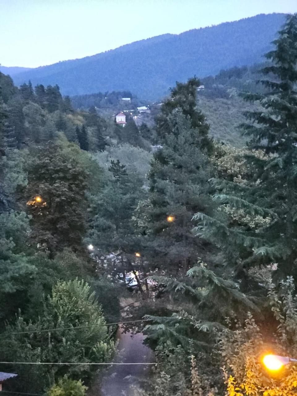 Guest House Likani 2017 Bordžomi Pokoj fotografie