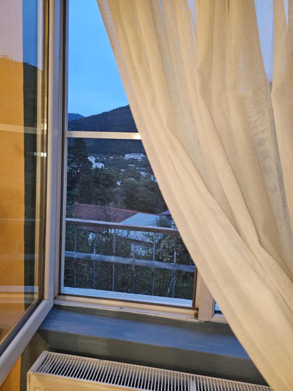 Guest House Likani 2017 Bordžomi Pokoj fotografie