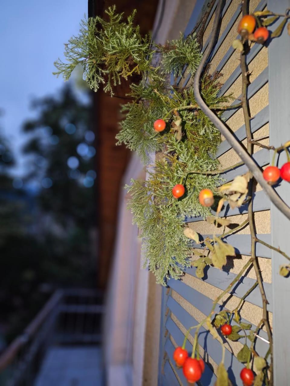 Guest House Likani 2017 Bordžomi Pokoj fotografie