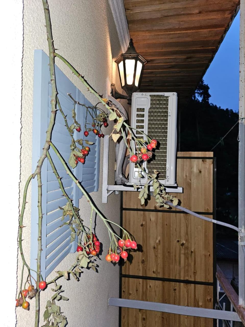 Guest House Likani 2017 Bordžomi Pokoj fotografie