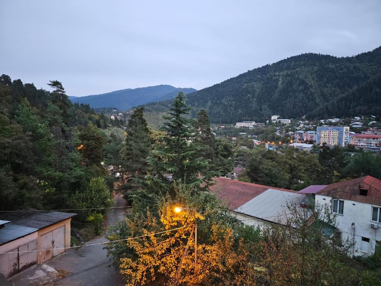 Guest House Likani 2017 Bordžomi Pokoj fotografie