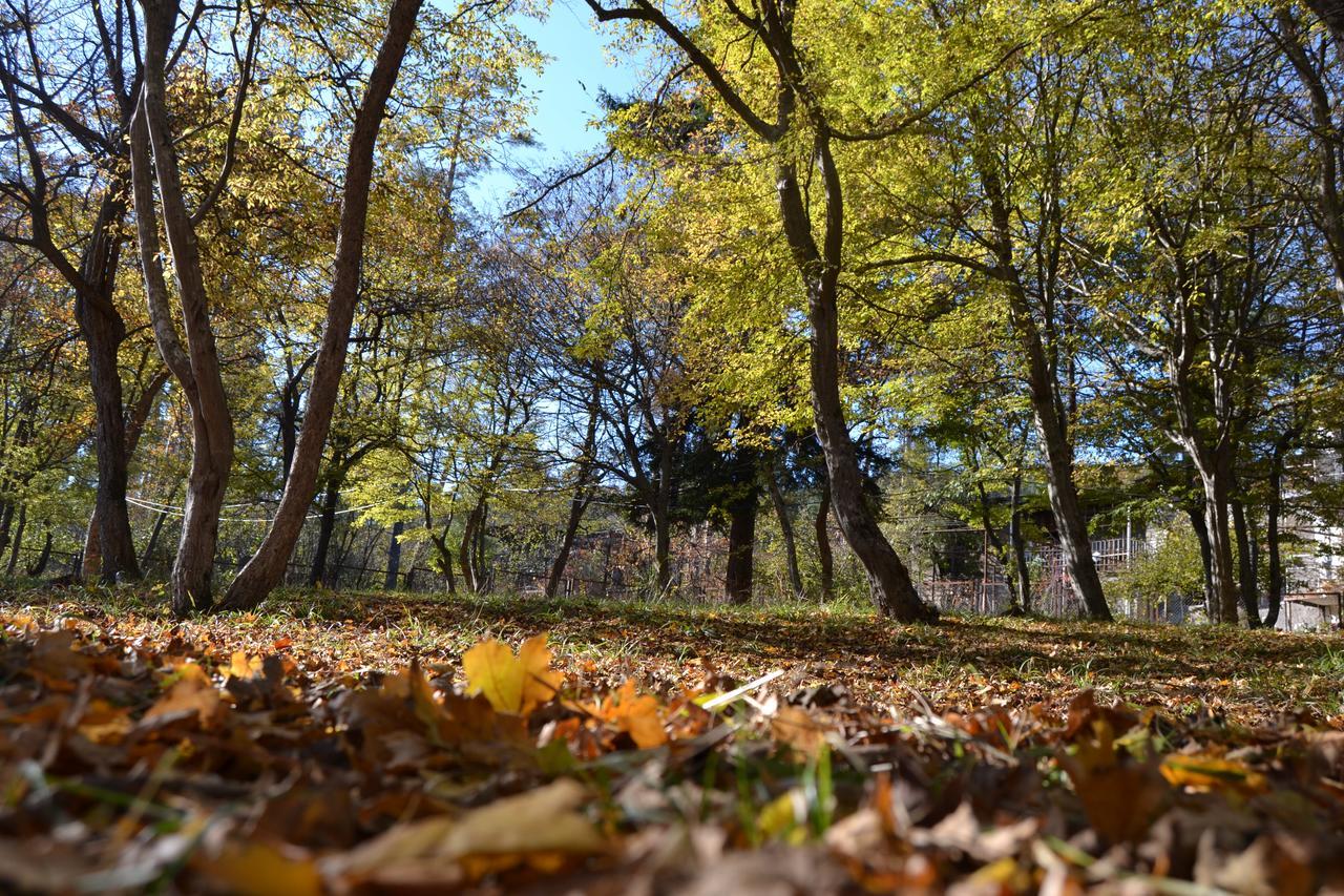 Guest House Likani 2017 Bordžomi Exteriér fotografie