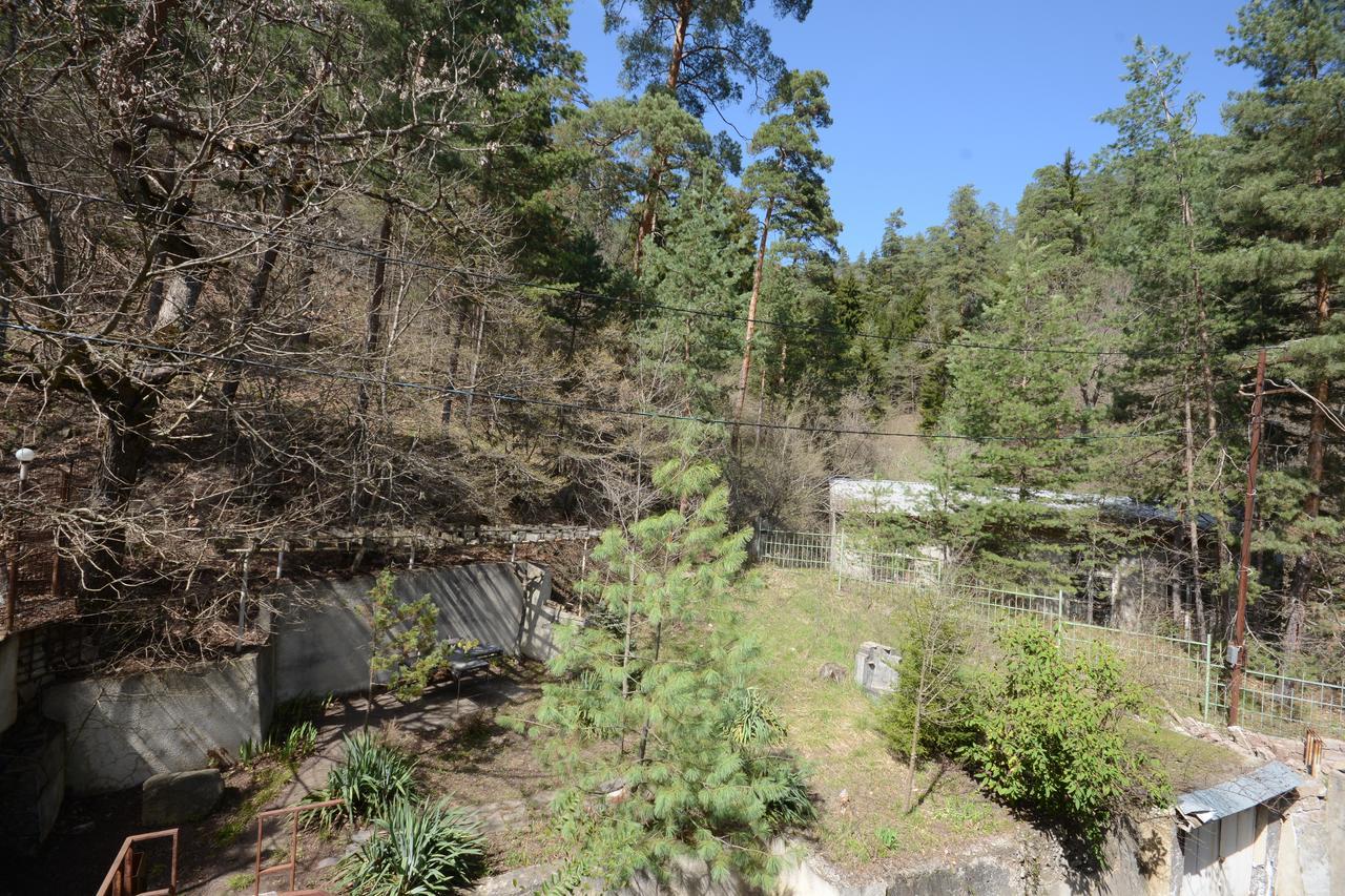 Guest House Likani 2017 Bordžomi Exteriér fotografie
