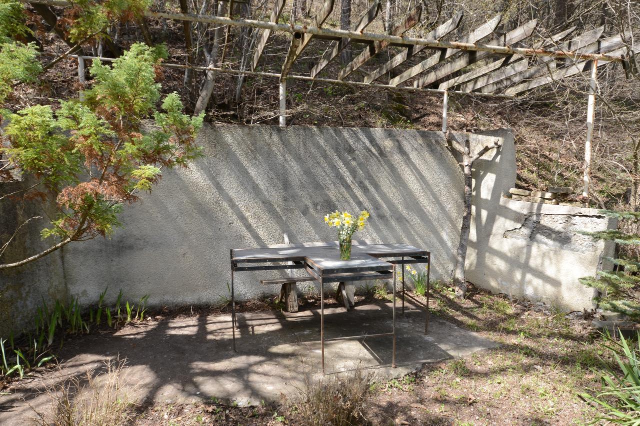 Guest House Likani 2017 Bordžomi Exteriér fotografie