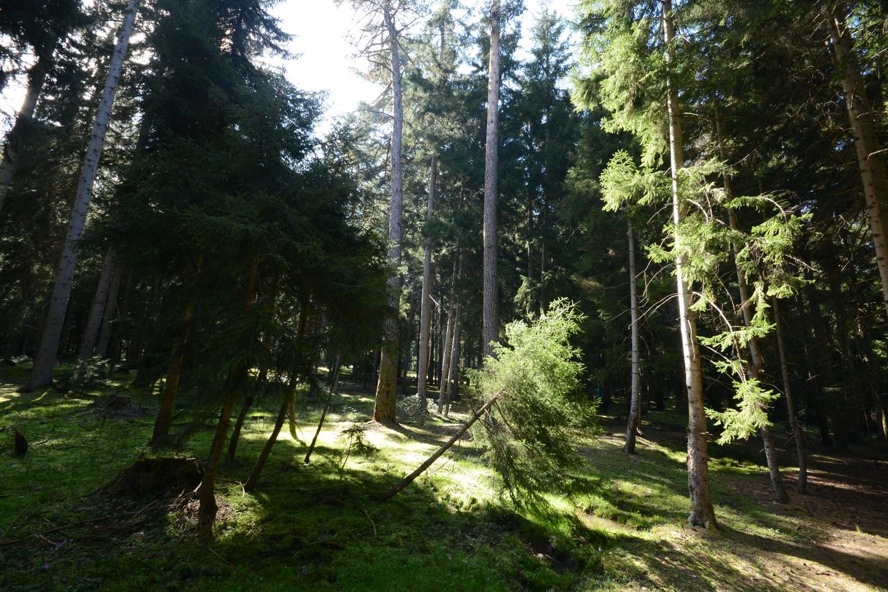Guest House Likani 2017 Bordžomi Exteriér fotografie