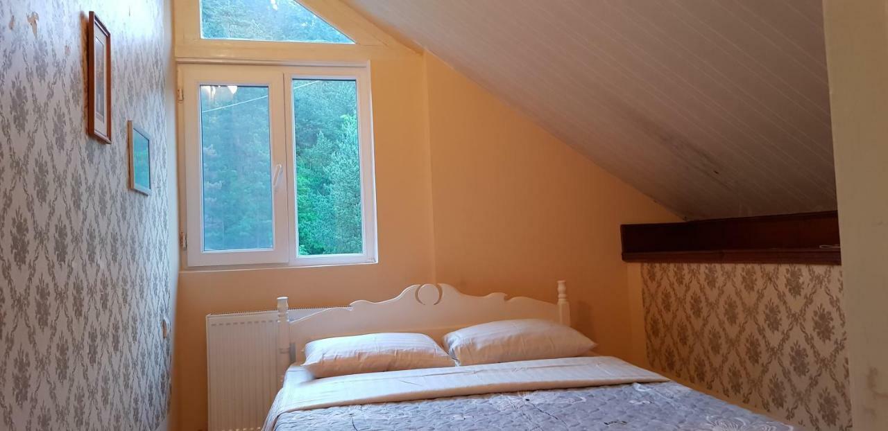 Guest House Likani 2017 Bordžomi Exteriér fotografie